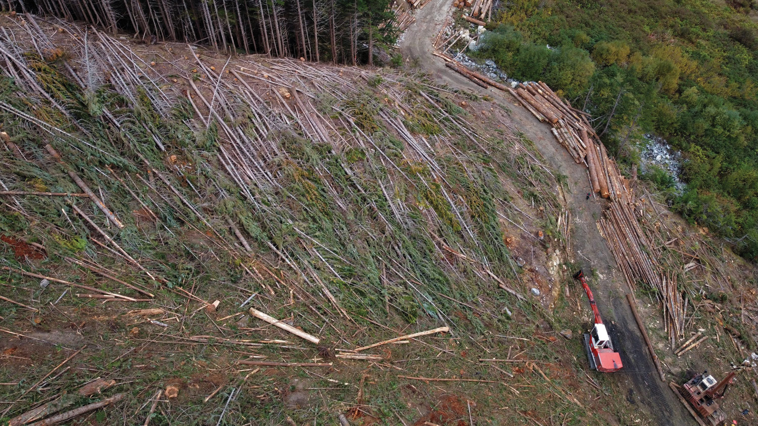 Aerial view of a clearcut forest in the Spuzzum Valley, BC