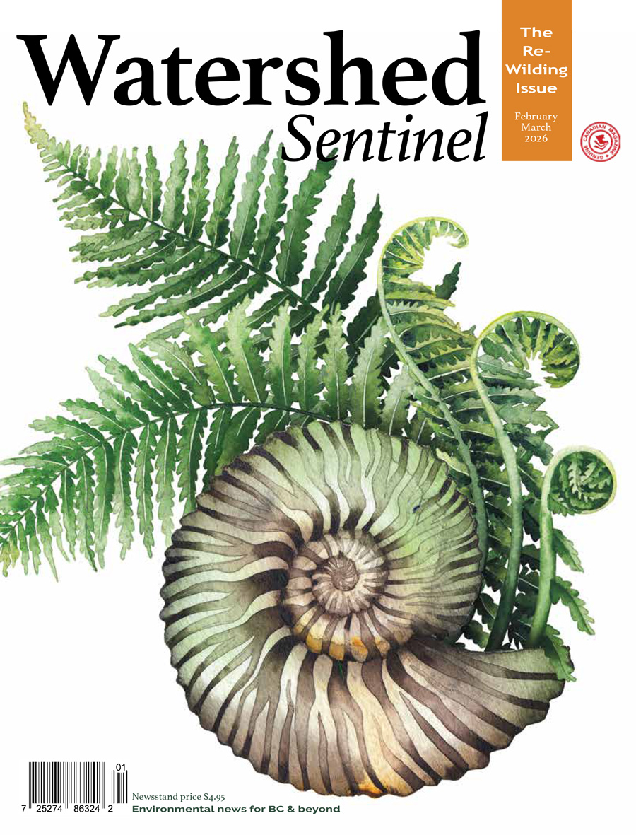 Watershed Sentinel February March 2026 Rewilding Issue cover featuring a nautilus shell and ferns